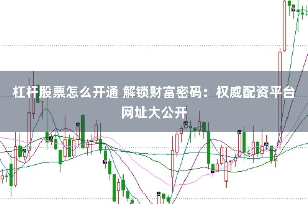 杠杆股票怎么开通 解锁财富密码：权威配资平台网址大公开