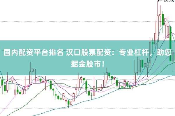 国内配资平台排名 汉口股票配资：专业杠杆，助您掘金股市！