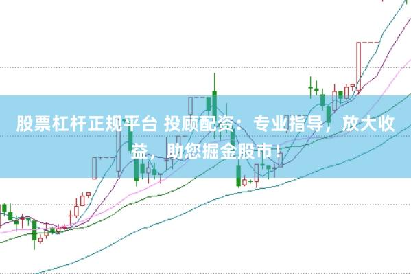股票杠杆正规平台 投顾配资：专业指导，放大收益，助您掘金股市！