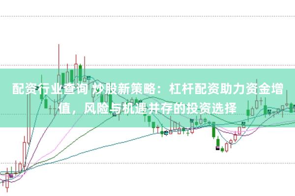 配资行业查询 炒股新策略：杠杆配资助力资金增值，风险与机遇并存的投资选择
