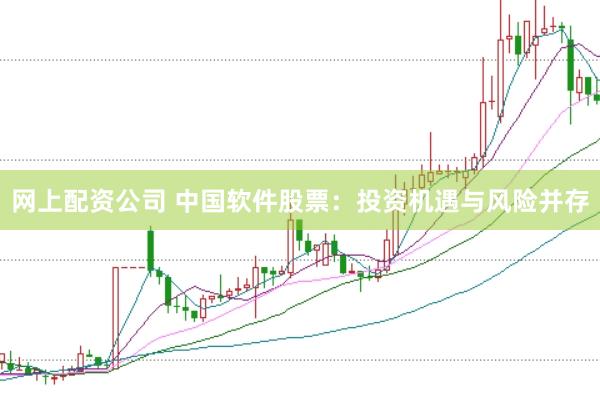 网上配资公司 中国软件股票：投资机遇与风险并存