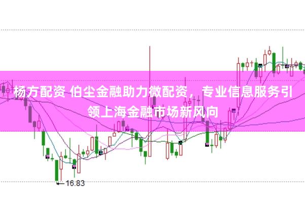 杨方配资 伯尘金融助力微配资，专业信息服务引领上海金融市场新风向