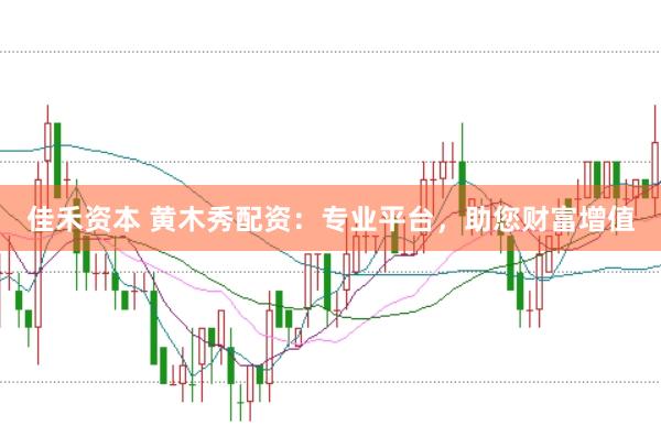 佳禾资本 黄木秀配资：专业平台，助您财富增值