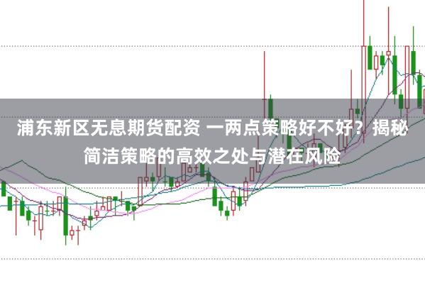 浦东新区无息期货配资 一两点策略好不好？揭秘简洁策略的高效之处与潜在风险