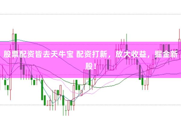 股票配资皆去天牛宝 配资打新，放大收益，掘金新股！