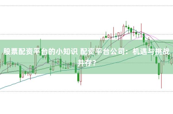 股票配资平台的小知识 配资平台公司：机遇与挑战并存？
