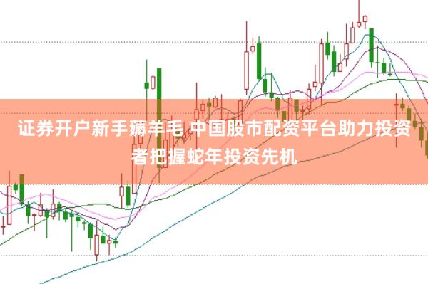 证券开户新手薅羊毛 中国股市配资平台助力投资者把握蛇年投资先机