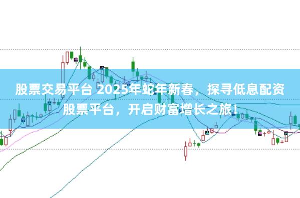 股票交易平台 2025年蛇年新春，探寻低息配资股票平台，开启财富增长之旅！