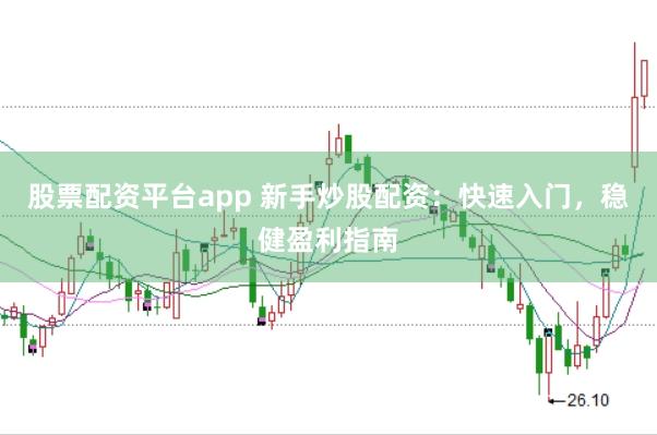 股票配资平台app 新手炒股配资：快速入门，稳健盈利指南