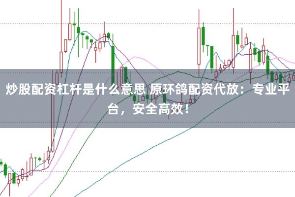 炒股配资杠杆是什么意思 原环鸽配资代放:专业平台,安全高效!