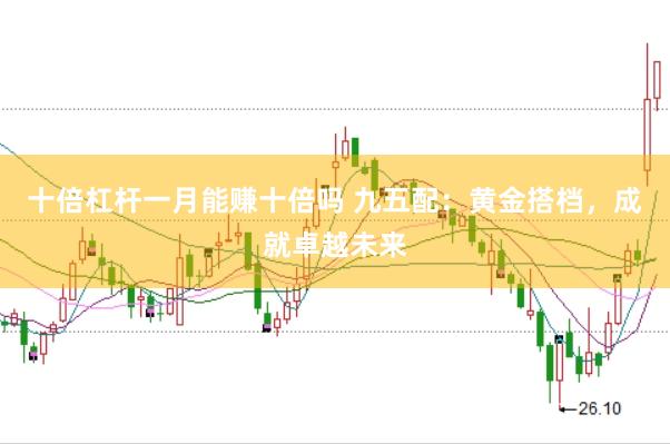 十倍杠杆一月能赚十倍吗 九五配：黄金搭档，成就卓越未来