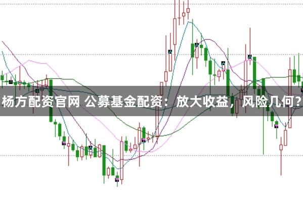 杨方配资官网 公募基金配资:放大收益,风险几何?