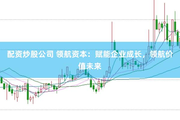 配资炒股公司 领航资本:赋能企业成长,领航价值未来