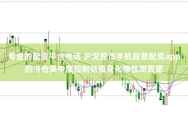 专业的配资平台电话 沪深股市手机股票配资app的持仓集中度控制估值变化弹性测算逻
