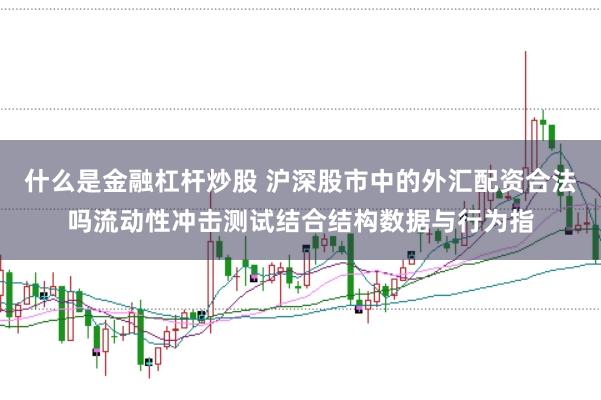 什么是金融杠杆炒股 沪深股市中的外汇配资合法吗流动性冲击测试结合结构数据与行为指