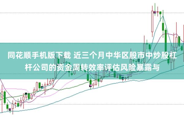 同花顺手机版下载 近三个月中华区股市中炒股杠杆公司的资金周转效率评估风险暴露与
