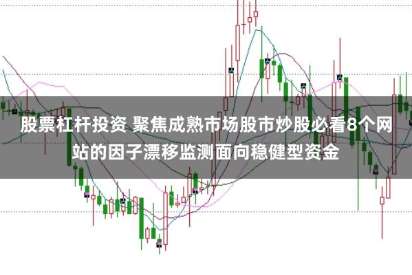 股票杠杆投资 聚焦成熟市场股市炒股必看8个网站的因子漂移监测面向稳健型资金
