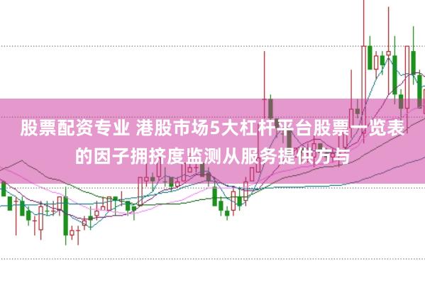股票配资专业 港股市场5大杠杆平台股票一览表的因子拥挤度监测从服务提供方与