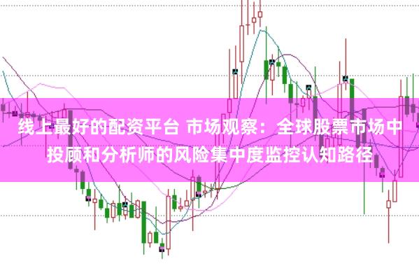 线上最好的配资平台 市场观察:全球股票市场中投顾和分析师的风险集中度监控认知路径