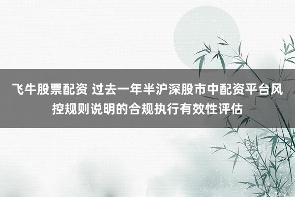 飞牛股票配资 过去一年半沪深股市中配资平台风控规则说明的合规执行有效性评估