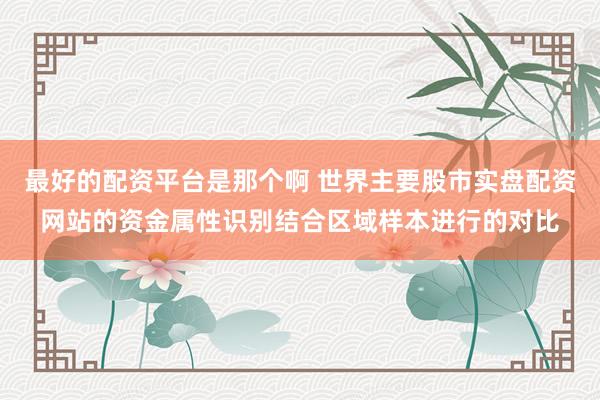 最好的配资平台是那个啊 世界主要股市实盘配资网站的资金属性识别结合区域样本进行的对比