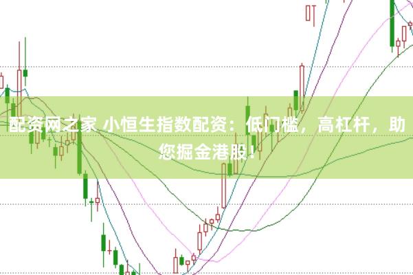 配资网之家 小恒生指数配资：低门槛，高杠杆，助您掘金港股！