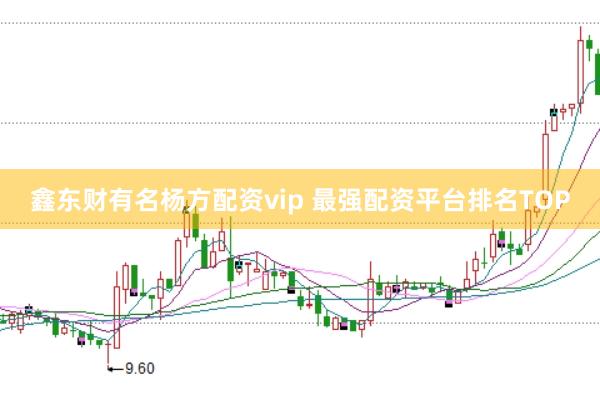 鑫东财有名杨方配资vip 最强配资平台排名TOP