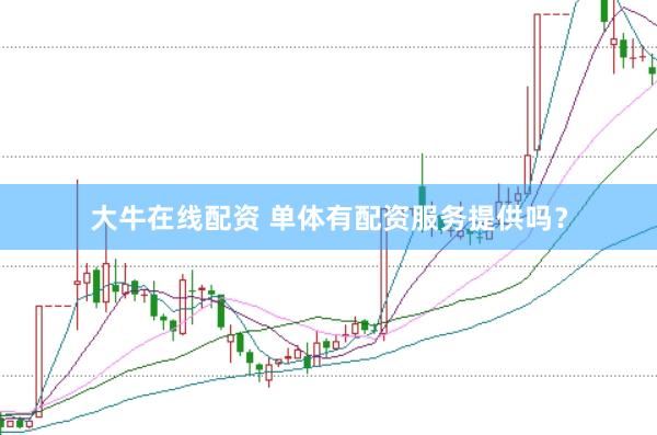 大牛在线配资 单体有配资服务提供吗？