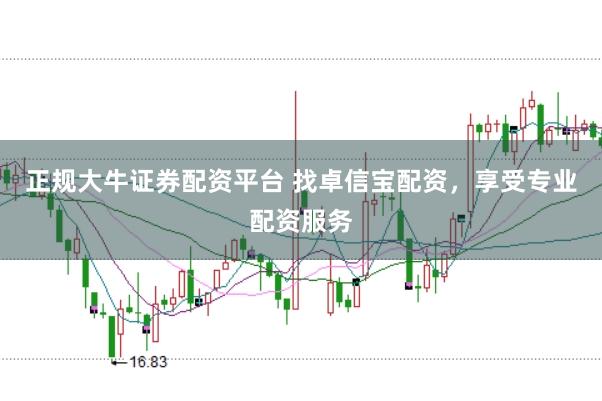 正规大牛证券配资平台 找卓信宝配资，享受专业配资服务