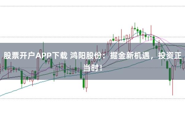 股票开户APP下载 鸿阳股份：掘金新机遇，投资正当时！