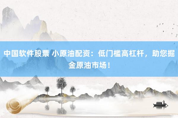 中国软件股票 小原油配资：低门槛高杠杆，助您掘金原油市场！
