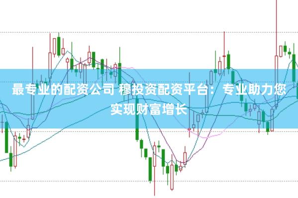 最专业的配资公司 穆投资配资平台：专业助力您实现财富增长